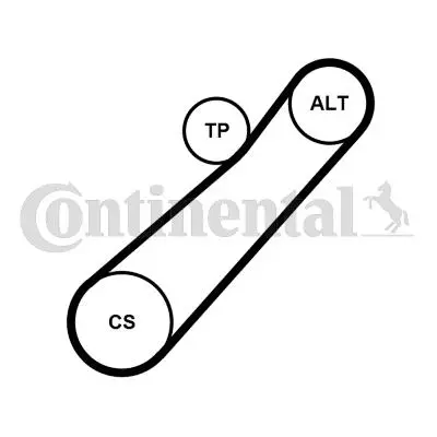 CONTINENTAL CONTITECH 7PK880K1 Alternator Gergı Kıtı Clıo Iıı Iv / Twıngo 1,2 16v 11281704719 11287556251 11288672072 1141999 1152360 117200033R 117203JA0A 117203WS0B 117208023R 1175000Q0G