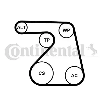 CONTINENTAL CONTITECH 6PK1217WP1 Su Pompalı V Kayıs Setı 