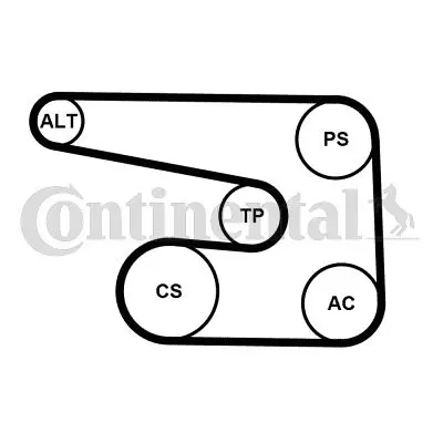 CONTINENTAL CONTITECH 6PK1873K5 Kanallı V Kayıs Setı 1009900 1019889 1029970092 1029977292 1085038 1119970292 1119970592 11231266124 11287509520 11287511476