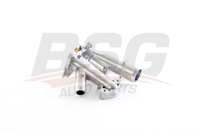 BSG 30-126-027 Termostat Komple BM5G9K478AB