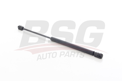 BSG 75-980-018 Motor Kaput Amortısörü 654703934R