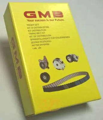 GMB VT106126 Eksantrik Rulman Kiti (Triger Seti) Express Kangoo Trafıc 1,9d 120326200 1276184CT0 1281084CT0 1281084CT1 1281084CT1000 1302100QAJ 1307000Q0D 1307000QAC 1307700QAC 1307700QAH