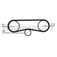 CONTITECH CT 1018K1 Triger Seti 059109243G