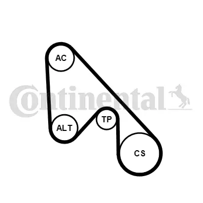 CONTITECH 5PK1145K1 Kanallı V Kayıs Seti 1535422 1535429 2009266 2472280 46548452 46754624 55191969 55191970 55193330 55195023 55232449 55232827 55242399 55249821 55258443 6000100155 6000100248 71732350 73502730 9S516A228AA 9S516A228AB 9S518620BA BS518620BB MB813867 MZ690248