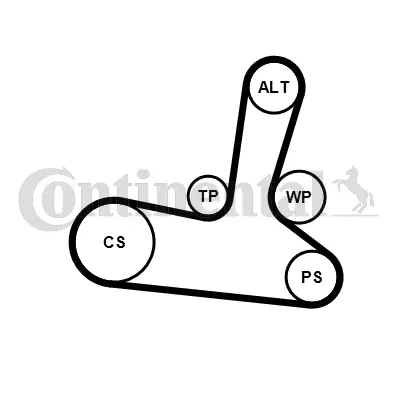 CONTITECH 5PK1300K1 Kanallı V Kayıs Seti Passat A4 1.6 1.8 1.8t 1.9 Tdı 97> (Avf Alz Awt Awl) 159974792 58903133 58903133B 58903133C 58903133D 58903137C 58903137E 6B903137 6B903137A 6B903137E 6B903137G