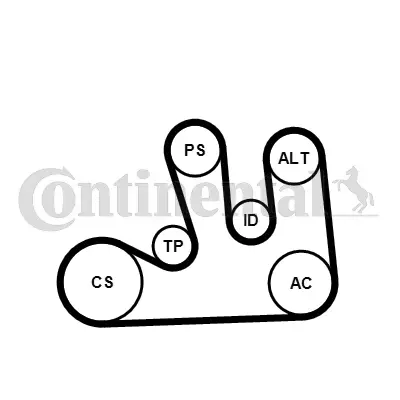 CONTITECH 5PK1750K1 Kanallı V Kayıs Seti (7700111671-7700102872-7700102931) 1.4/1.6 16v Megane-Clıo-Sandero 1004485 1041193 117500000F 1175000Q0F 117502781R 1192000Q0B 1192000QAA 1192500 1192500Q0C 1192500Q0D