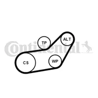 CONTITECH 6PK1045K1 Kanallı V Kayıs Seti 1039808 1051901 1227543 28145278 28145278A 28145278E 28903137B 28903137BB 28903137T 28903315N 28903315R 3M216C301AA 6F260849E 6F260849M 7198532 95VW10145DA 95VW6C301CA VX028145278EVX