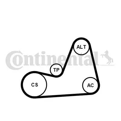 CONTITECH 6PK1100K1 Kanallı V Kayıs Seti Altea Leon Toledo Octavıa Bora Caddy Golf V Vı 1.4 1.8 2.0 Tsı / Fsı Bgu Bse Bs 119209F605 119209F610 119209F615 1K0260849A 1K0260849B 30145299C 30145299F 30145933 4L260849P 6J260849F 6K260849A