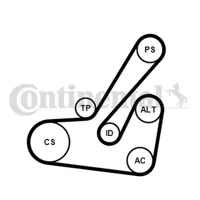 CONTITECH 6PK1145K2 Kanallı V Kayıs Seti 