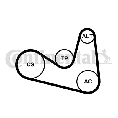 CONTITECH 6PK1180K2 Kanallı V Kayıs Seti 1539603 38903137AA 38903137L 38903315AD 38903315AG 38903315AH 38903315AJ 38903315AL 38903315AM 38903315AN 38903315AP 38903315T 46820062 55202377 71745115 9004831071 9004831088 9091602674 9S518620CA