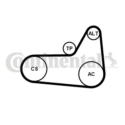 CONTITECH 6PK1180K4 V Kayıs Gergi Kutugu (V Kayıs + 6pk1180) Volvo Xc90 15>xc60 15>v70 15> S90 15> D4- D5 31339945 31401461 31430015 31430186 31460374 31480361 32249370 982797 982825