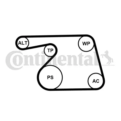 CONTITECH 6PK1318K2 Kanallı V Kayıs Seti 1340024 1754085E00 4708770 51821653 55185074 55185078 55216459 55562245 55574238 55582046 6340554 6340616 6340676 636166 93193594 9514184EA0