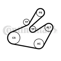 CONTITECH 6PK1468K1 Alternator V Kayısı Kiti Partner Iı 406 Expert Berlıngo Iı Expert Xsara Pıcasso Dw10td 2.0hdı 8v Klı 1613844880