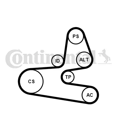 CONTITECH 6PK1564K1 Kanallı V Kayıs Seti 1611282080