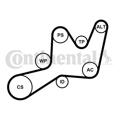 CONTITECH 6PK1605K1 Kanallı V Kayıs Seti 30621270 30813134 7700867985 7700870937 8200065479 8200065970 8200078576 8200230958 8200833543 M813134 MW30621270