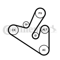 CONTITECH 6PK1710K1 Alternator V Kayısı Kiti Berlıngo Iı Berlıngo Iıı Partner Iı Partner Tepe C5 X7 Jumpy Iıı Nemo Scudo 1072316 11281437869 11287795036 11287798112 1141315 1142000 1143406 1152356 1152359 1175000Q2E