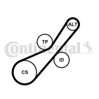 CONTITECH 6PK800K2 Kanallı Kayıs Seti P207 1.4hdı 1.6hdı 06=> P308 1.6 Hdı 07=> Berlıngo 1.6 Hdı 05=> C2 1.4hdı 03=> 11287795036 11287795037 11287807229 1229548 1539585 16112779 1611277980 1611425680 1690293 1752169K00