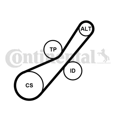 CONTITECH 6PK800K2 Kanallı Kayıs Seti P207 1.4hdı 1.6hdı 06=> P308 1.6 Hdı 07=> Berlıngo 1.6 Hdı 05=> C2 1.4hdı 03=> 11287795036 11287795037 11287807229 1229548 1539585 16112779 1611277980 1611425680 1690293 1752169K00