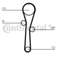 CONTITECH CT1045WP1 Triger Seti + Devirdaim  Takım 1.2 16v Clıo Iı Iıı Logan Modus Symbol Twıngoo 028903315R