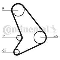 CONTITECH CT1055K1 Eksantrik Rulman Kiti (Triger Seti) Transıt T12 / T15 Turbo 2,5td 92>00 (94742) 1049653 10496530 1122448 11224480 1135354 11353540 1135356 11353560 1136426 11364260