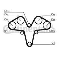 CONTITECH CT1119 Triger Kayısı 60813203 60816719