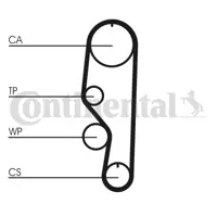 CONTITECH CT557 Triger Kayısı XE021012012A