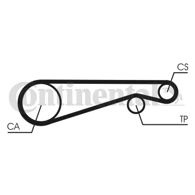 CONTITECH CT653 Triger Kayısı 75527445