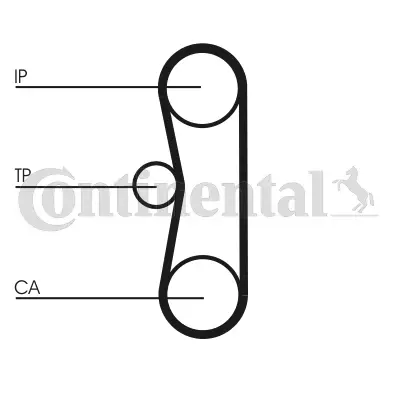 CONTITECH CT662 Triger Kayısı 81634 95554802