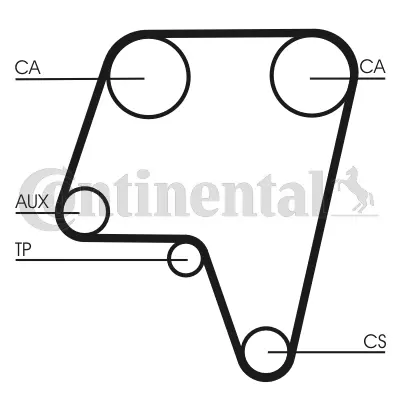 CONTITECH CT819 Triger Kayısı 60500466B 60807898