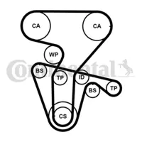 CONTITECH CT877WP3PRO Su Pompalı Triger Seti 55192239 55210628 55221253 55221254 55254144 60586222 60596372 60620443 60620887 60625130 60652129 60656342 60664403 60667496 60670506 60671573 60674890 60811328 60812344 60814319 71719648 7710579