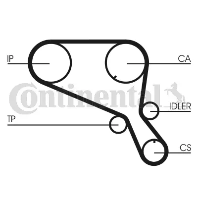 CONTITECH CT953 Triger Kayısı ETC8550