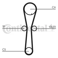 CONTITECH CT954 Triger Kayısı 14320P5TG00 14320P5TG01 14325P5TG00 14400P5STG00 14400P5TG00 14400P5TG00S1 14400P5TG00S2 14510P5TG00 14510P5TG00S1 14510P5TG01