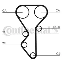 CONTITECH CT955K1 Triger Seti 0831R5