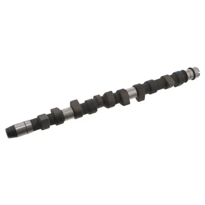 FEBI BILSTEIN 04934 Eksantrik Mili 74109101J