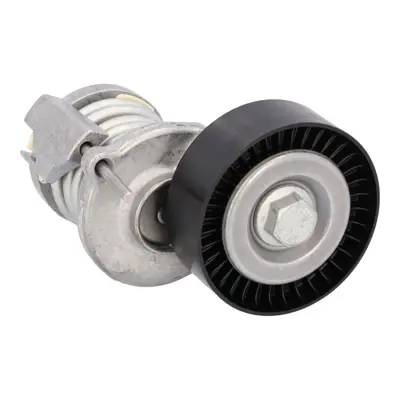 FEBI BILSTEIN 102297 Alternator Gergi Rulmanı Komple Amarok Caddy Passat - Cc Jetta ( Yenı Kod ) 38903315AD