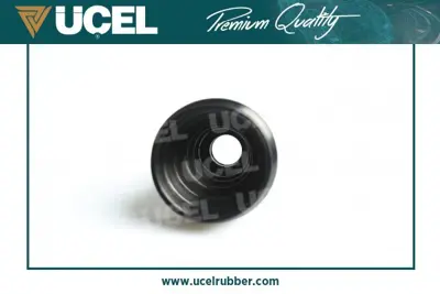 ÜÇEL S10722 Aks Korugu Dıs Megane2 130372 25676 49881 60949881 BSG75705002 VKJP1262