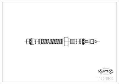 CORTECO 19018160 Fren Hortumu 11145250012 11770 1987476534 24511804203 420438E1 440019018160 62911770 6T46565 FHY2062 LH3261 PHB186 SBH0151