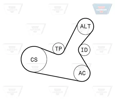 OPTIBELT 5 PK 1300KT1 Kanallı V Kayış Seti K015PK1303 K025PK1303 K045PK1303 KHV113 VKMA31034