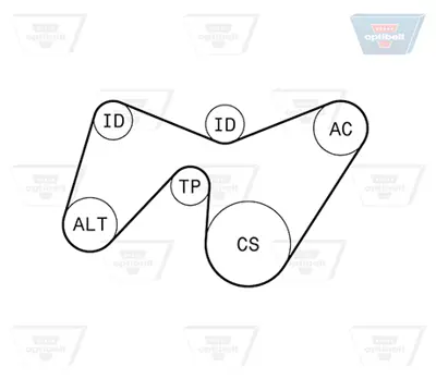 OPTIBELT 6 PK 1642KT1 Kanallı V Kayış Seti K036PK1640 K056PK1640 K116PK1640 VKMA34030