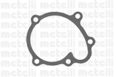 METELLI 24-0571 Su Pompası (Devirdaim) Opel Combo 94-01  Asrta F 95-98 1.7 D 1391 17284 205226 330467 350981687000 352316170858 40150017 506153 538030510 6136004052 9001274 980741 AQ1493 CP2782 DP351 O131 P333 PA675 PA7205 VKPC85404 WP0634 WPG018