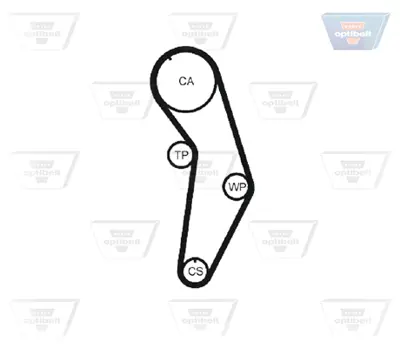 OPTIBELT KT 1133 W2 Su Pompalı Triger Seti 138x23 Bora (1j2) 1.6 98>05 Golf Iv (1j1) 1.6 97>04 Skoda Octavıa (1u2) 1.6 97>07 530017131 KP15489XS1 KTBWP2530 PK05450 VKMC011131