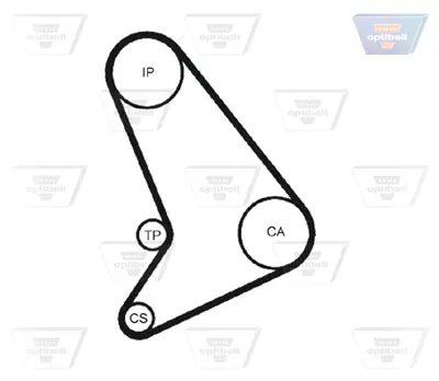 OPTIBELT KT 1240 Triger Seti Transıt 2.5d-2.5dı 88-94 4ab-4ba-4ca-Transıt Tourneo 2.4d-2.5dı 94-00 1987948001 K015571XS KTB282 VKMA04304
