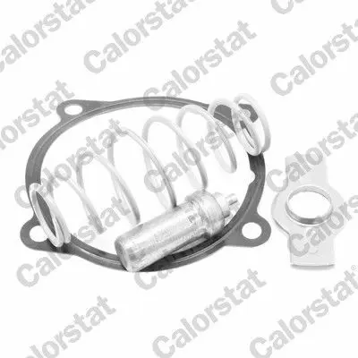 CALORSTAT by Vernet TH7313.79J Termostat 79 C° Iveco Stralıs Trakker Eurostar Eurotech - Ford Cargo 1846 504071087